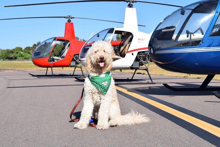 Helicopter Tour of Clearwater Beach and Belleair Country Club