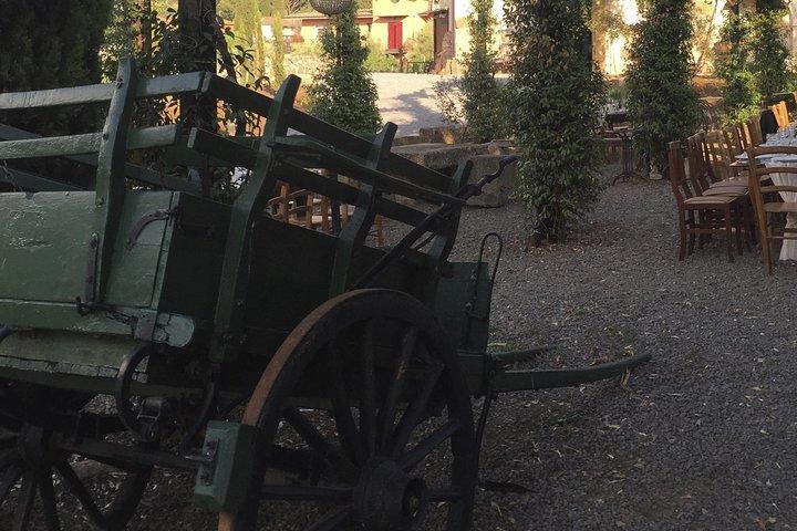 Rome - Castelli Romani Private Wine Tasting