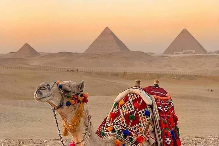 Private Tour at Pyramids & Sphinx by Camels .