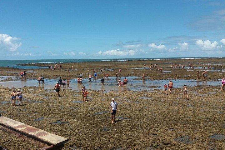Aries Beach Tour from Maragogi by Top Tours