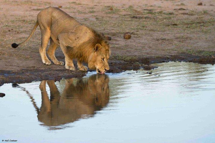 7-Day Kenya Tanzania Wonder Safari