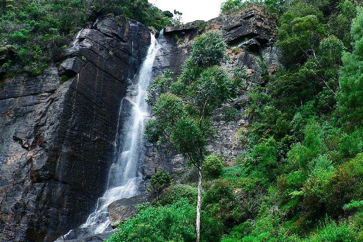 Exclusive: Tea Gardens and Waterfalls of Nuwara Eliya by Tuk-Tuk