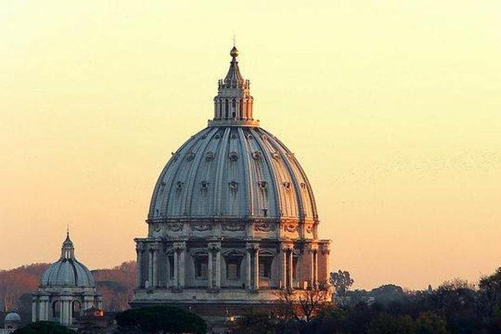 Papal Audience, Vatican Museums and Sistine Chapel Private Tour