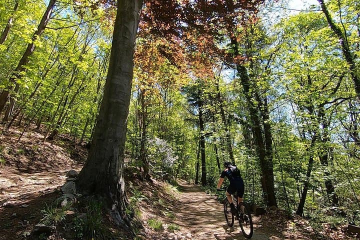 Mountain Bike tour in Spina Verde natural park