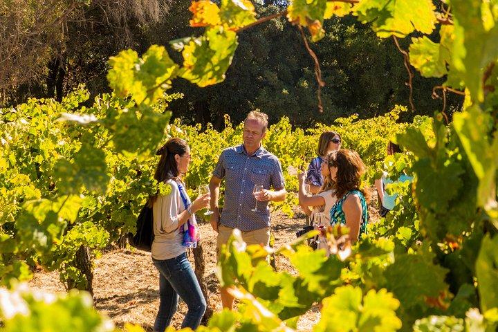 Half-Day Wine Country Tour from San Francisco