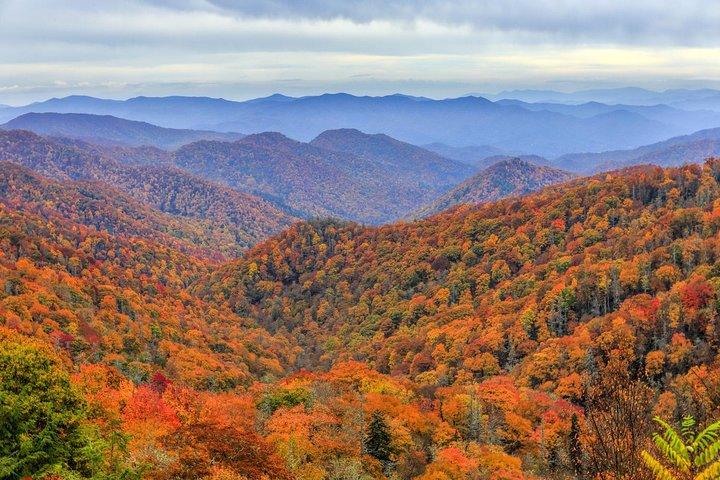 Waterfalls and Blue Ridge Parkway Hiking Tour with Expert Naturalist