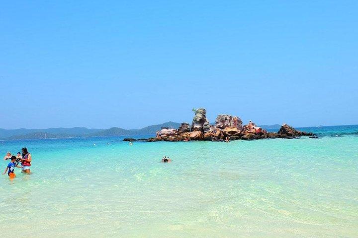 Phi Phi Island Enjoy Snorkeling & Colourful Fishes From Phuket