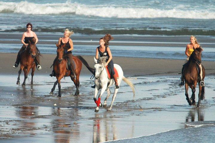 Horse Riding on the Black Sand Beach and Free Hotel Transfers