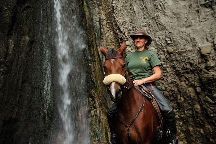 4 Days Private Safari Ngorongoro Crater,Tarangire, Manyara, Arusha National Park