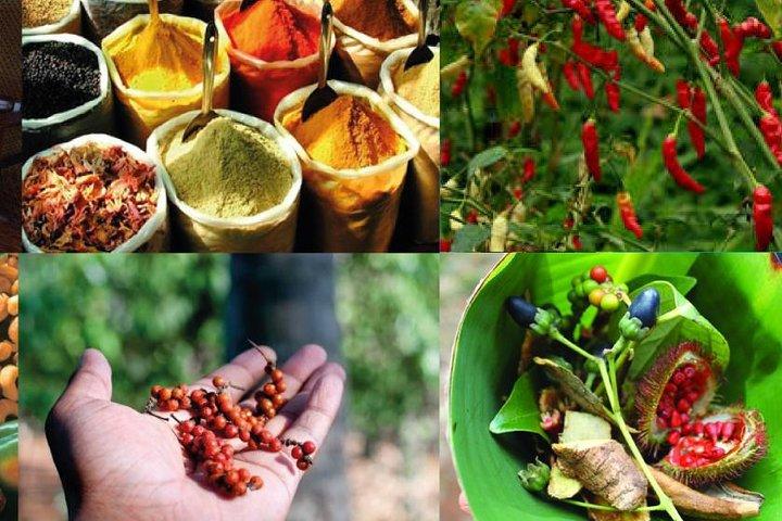 Zanzibar Spice Tour & Cooking Class