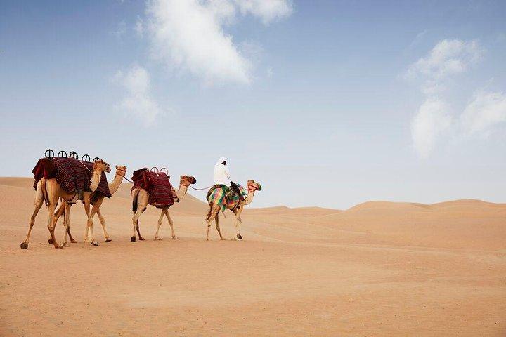 Evening Abu Dhabi Desert Safari & BBQ Dinner- Standard Tour