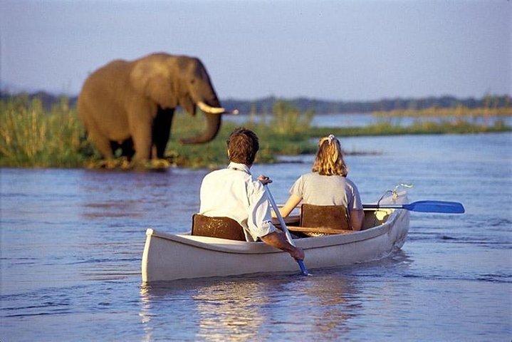 2 Days Joined group Safari in Lake Manyara and Tarangire National Park
