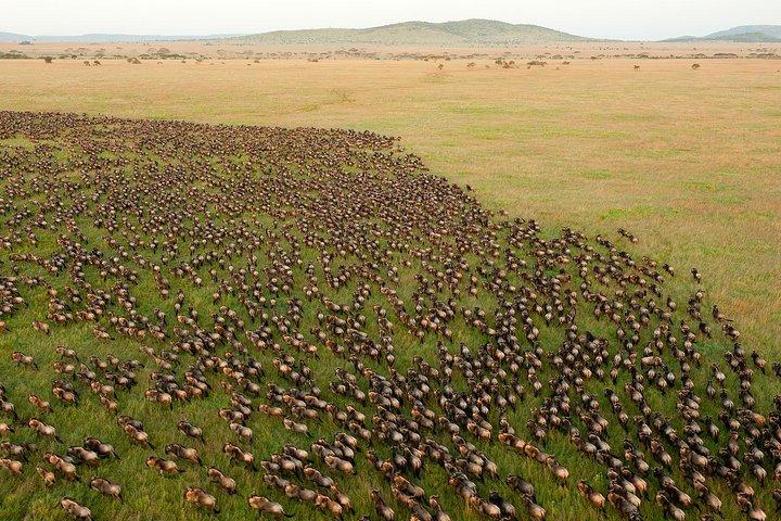5 days Private budget camping Safari