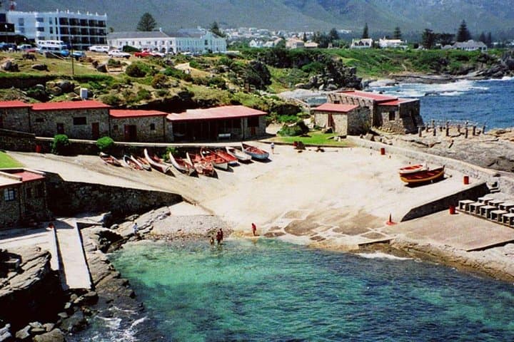 Hermanus Whale Coast Wine Tour (Cape To Grape Wine Tours)