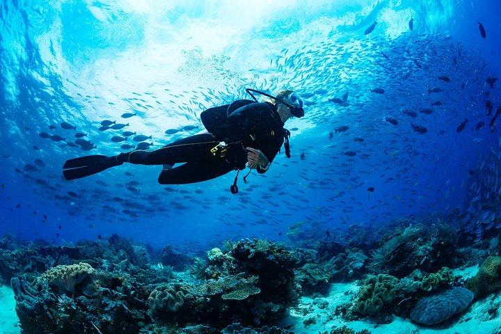 Bodrum: Scuba Diving Boat Trip with Lunch Included