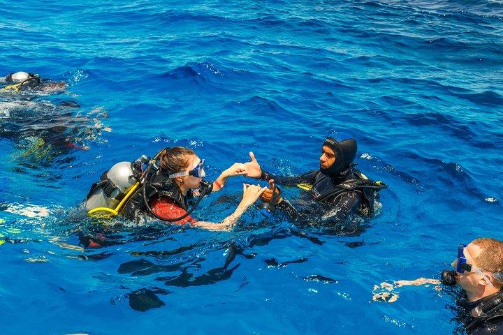 Bodrum: Scuba Diving Boat Trip with Lunch Included