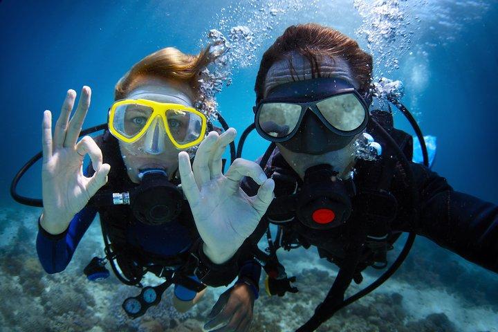 Bodrum: Scuba Diving Boat Trip with Lunch Included