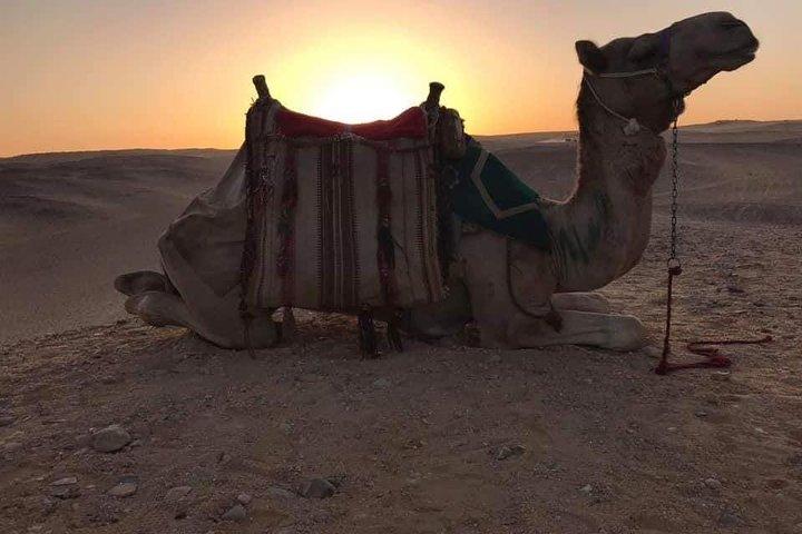 Private Camel Riding Tour of Giza Pyramids at Sunset with Local Bedouin Dinner