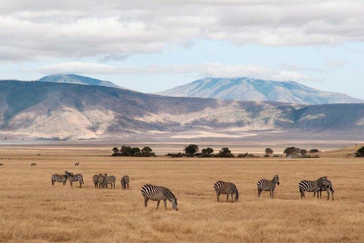 6 Days Budget Tanzania Camping Safari