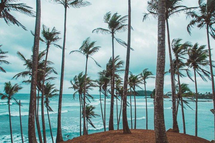 Private Arrival Transfer : Airport (CMB) to Mirissa Hotel