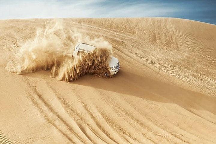 Morning Desert Safari With Camel Trekking