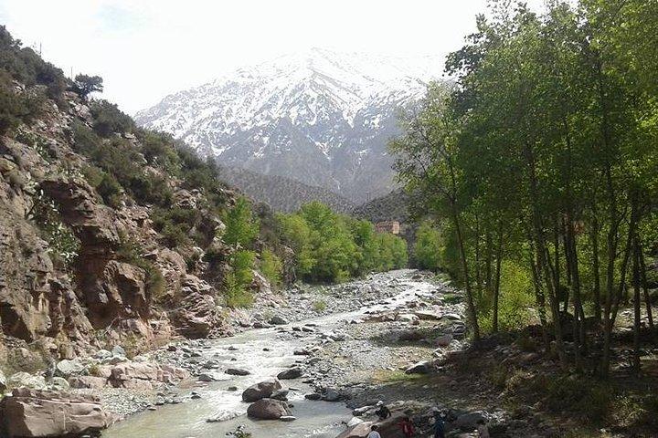 Marrakech Day Trip To Ourika Valley Atlas ,Waterfall & Lunch