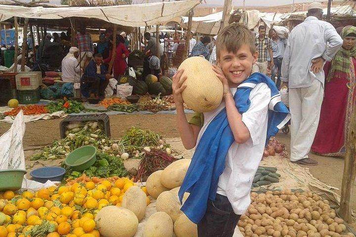 Marrakech Day Trip To Ourika Valley Atlas ,Waterfall & Lunch
