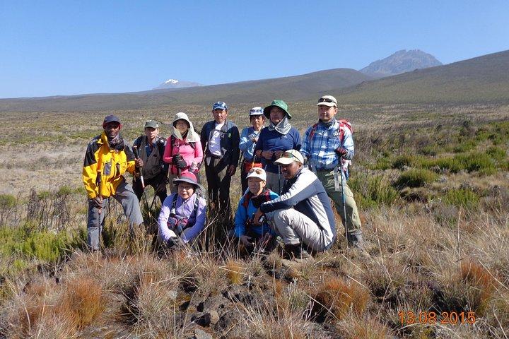 Kilimanjaro Shira Plateau Day Hike