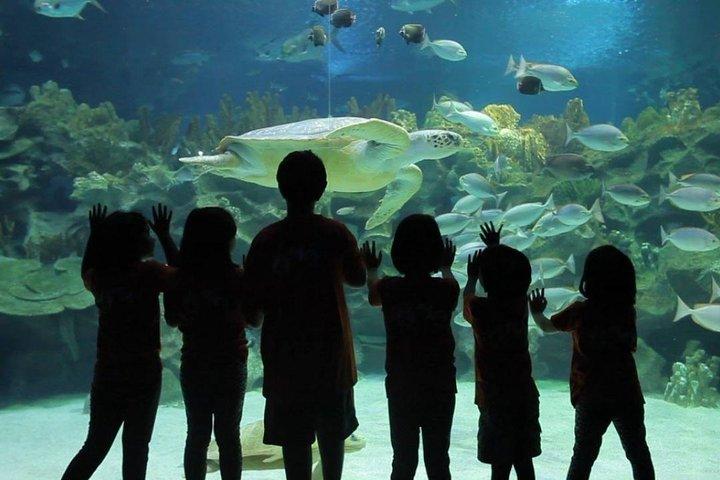 Aquaria KLCC Admission Ticket with One-Way or Round-Trip Transfer