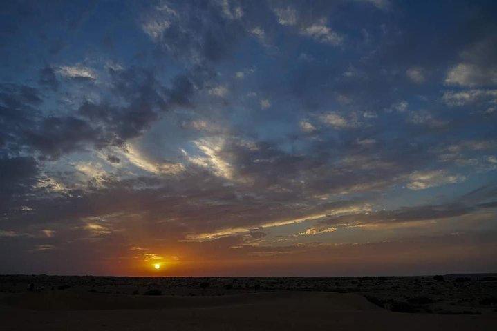 Camel safari in thar desert