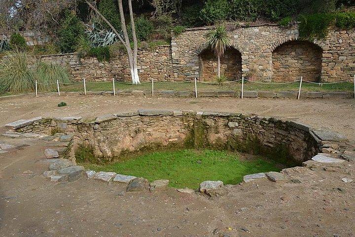 Izmir Shore Excursion: Private Tour to Ephesus, House of Virgin Mary and Temple of Artemis