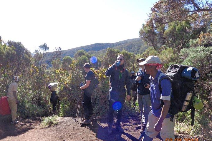 8 Days 7 Nights Kilimanjaro Lemosho Route