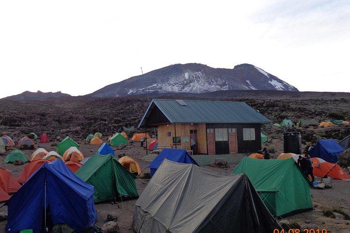 8 Days 7 Nights Kilimanjaro Lemosho Route