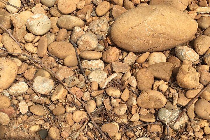 In Depth Chateauneuf du Pape