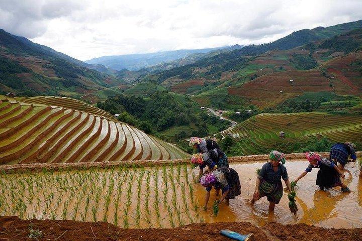 The best of North West Vietnam in 6 days 5 nights