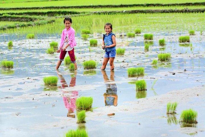 The best of North West Vietnam in 6 days 5 nights