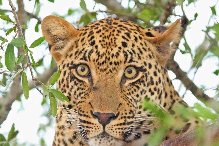 7-Day Kenya Tanzania Wonder Safari