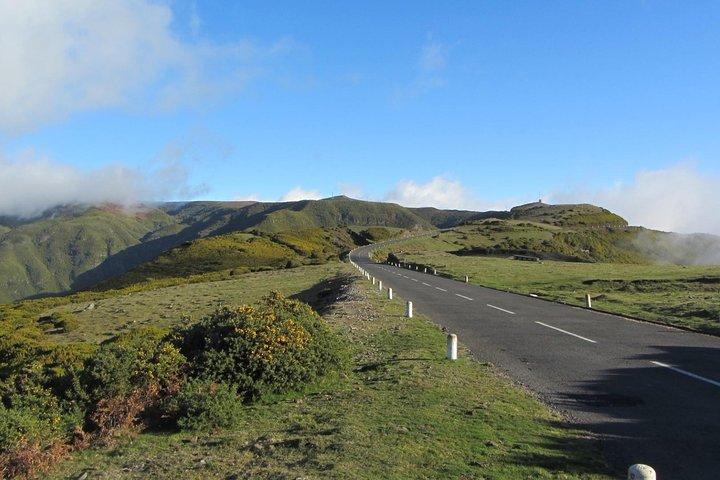 West Tour-Fanal Forest & Porto Moniz Natural Pools Small Groups