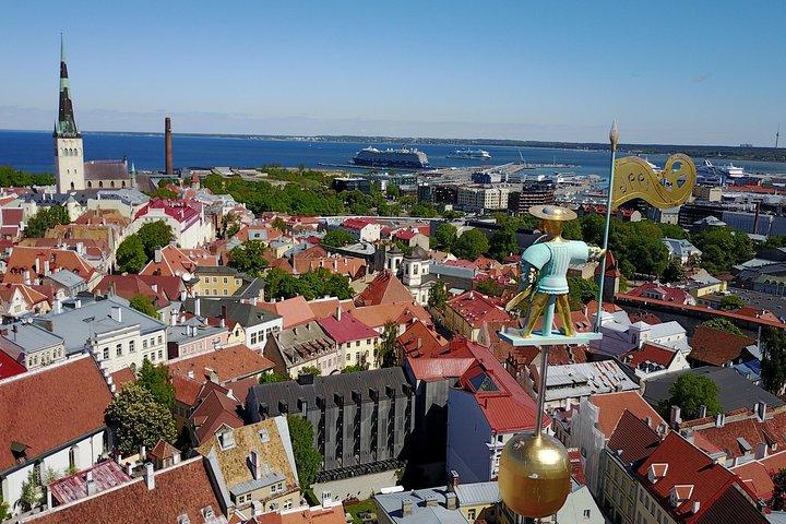 Group walking tour in Tallinn Old Town