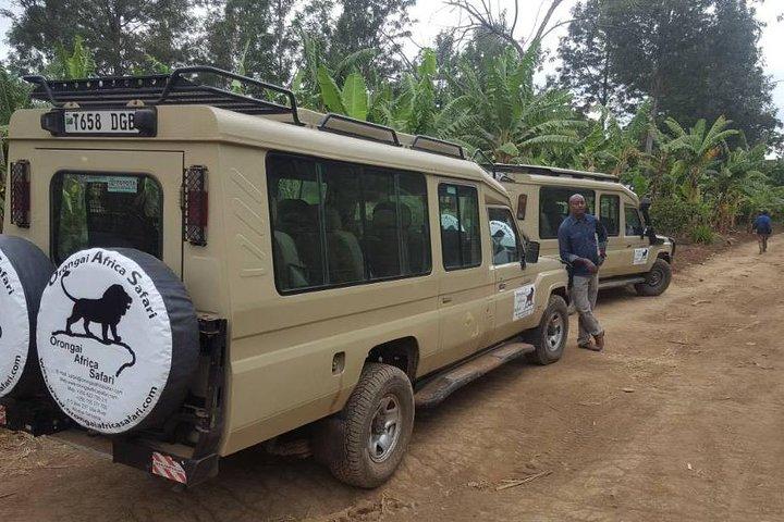 7-Day Safari (Including Serengeti) & Zanzibar Extension