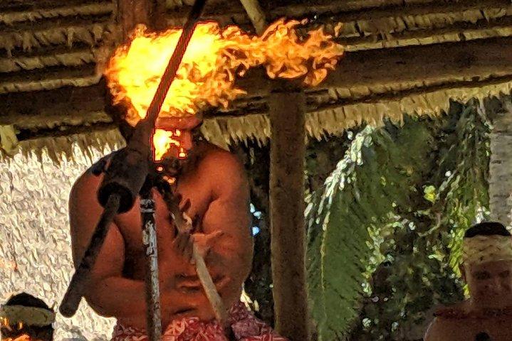 Pearl Harbor, Dole Plantation, Polynesian Center from Waikiki