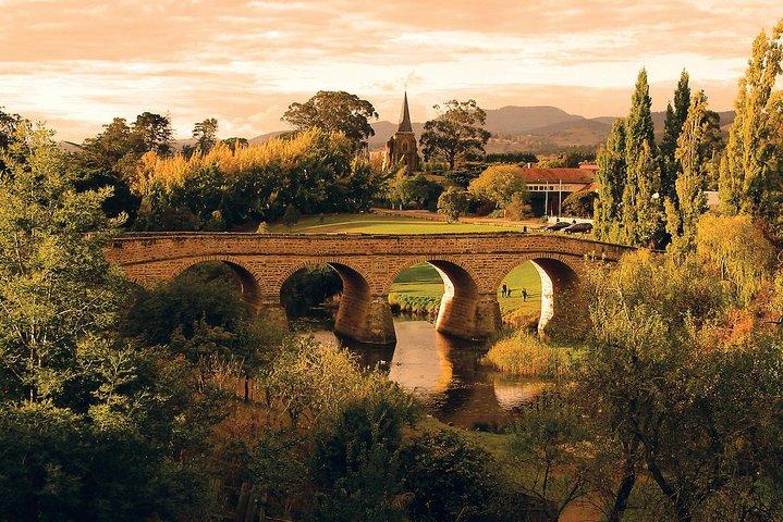 Shore Excursion: Hobart Highlights Day Tour