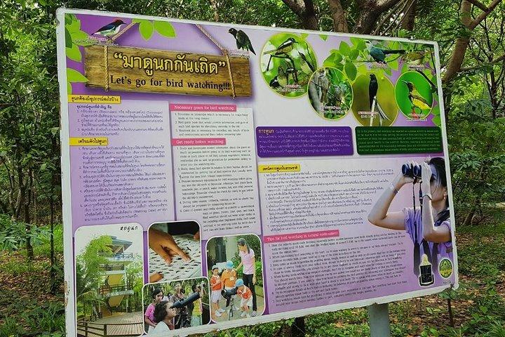 Lost in Bangkok : Green Lung Jungle Bicycle Ride with Lunch