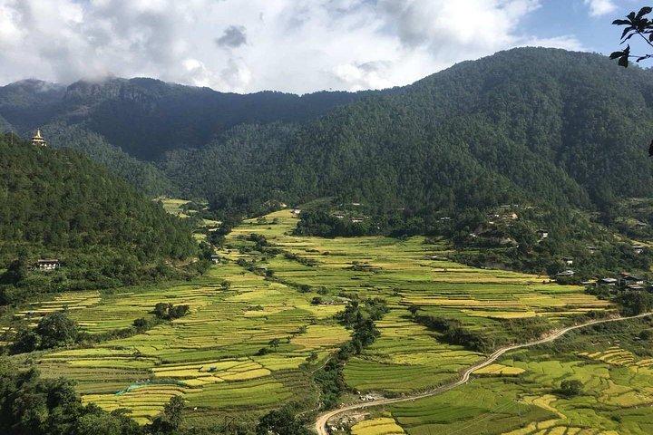 9 Days Authentic Bhutan Tour by Local Experts