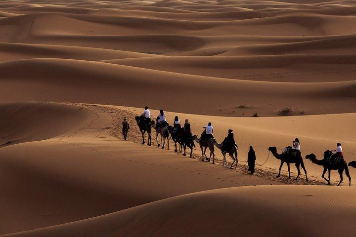Morning Desert Safari with Dune Bashing and Sand Boarding