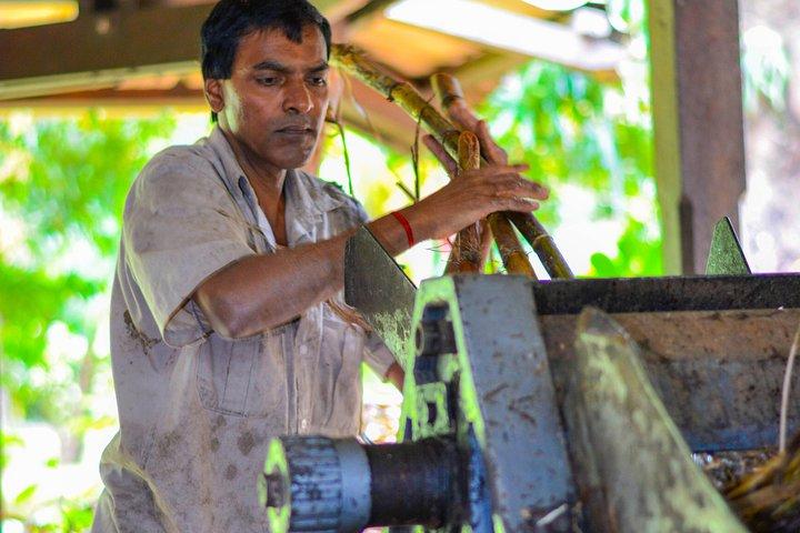 Full-Day South Tour of Mauritius, ALL INCLUSIVE Day Trip, Private SUV Car, Guide