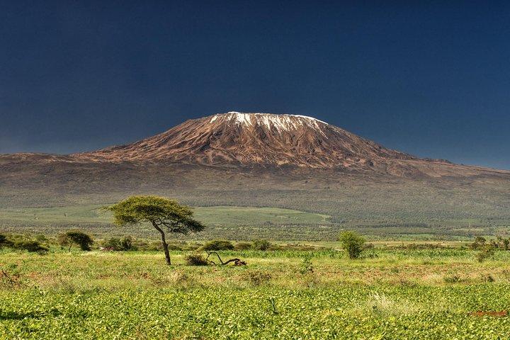 1 day Kilimanjaro Cycle Shira Route
