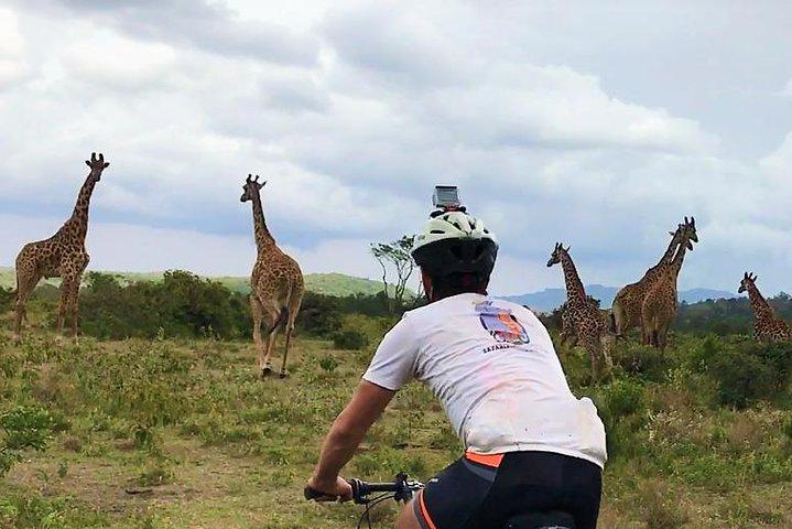 1 day Walking and Bike Safari in Arusha National Park
