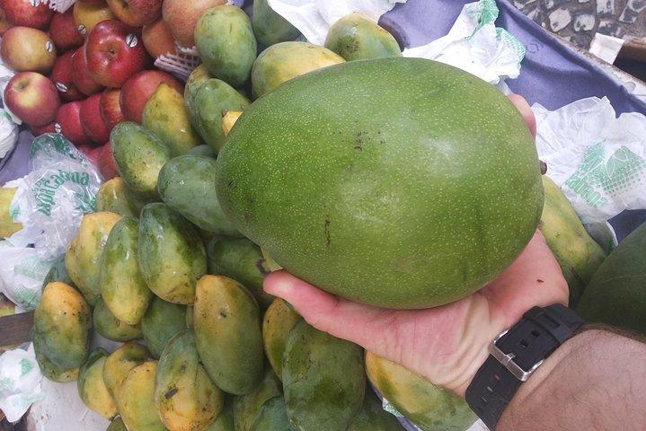 Christ, St. Teresa, Selaron & Farmers Market. 6 Hours Tour.