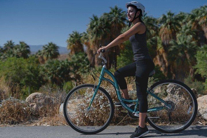 Palm Springs Indian Canyons EBike and Hike